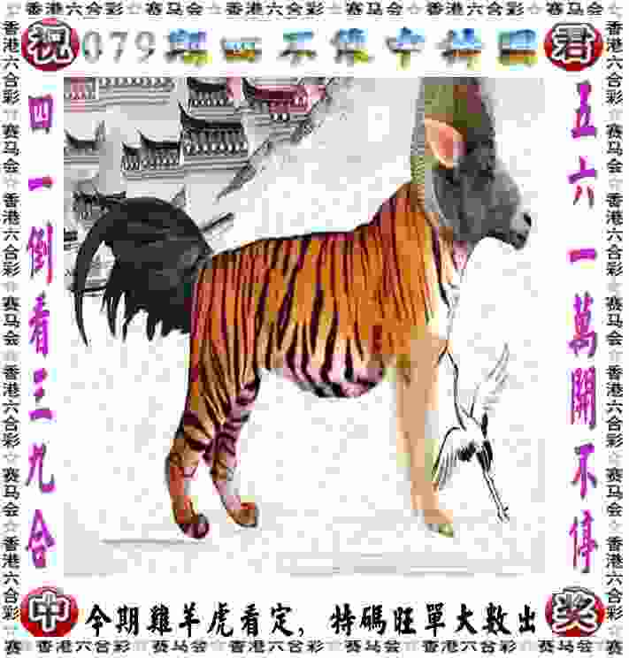 中国代表团总结巴黎奥运参赛整体情况：创境外参赛历史最好成绩，“突破”成为最明显特点